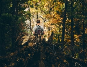 man wearing a gray t-shirt and gray backpack walking on the forest during daytime thumbnail