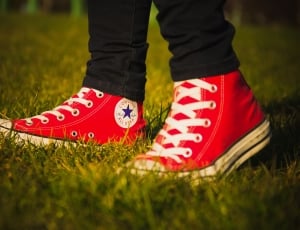 Converse, All Star, Logo, Red, Shoes, grass, red thumbnail