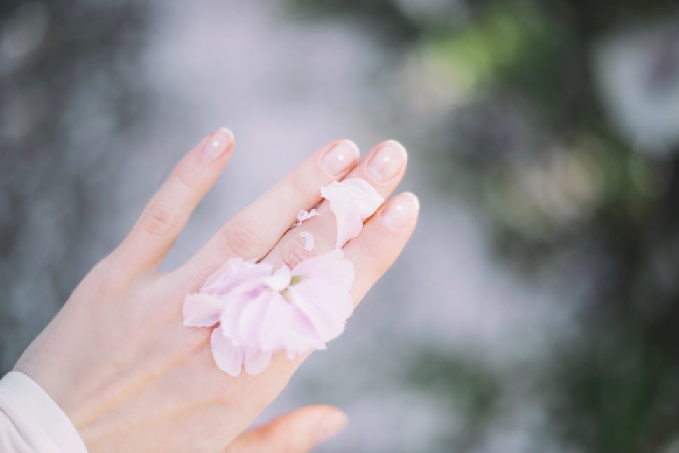 shallow focus photography of hand with purple petal preview
