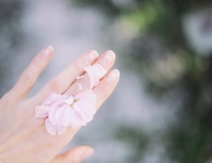shallow focus photography of hand with purple petal thumbnail