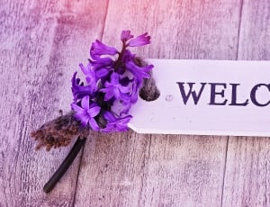welcome with purple flower signage thumbnail