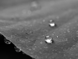 grayscale photo of water droplets thumbnail