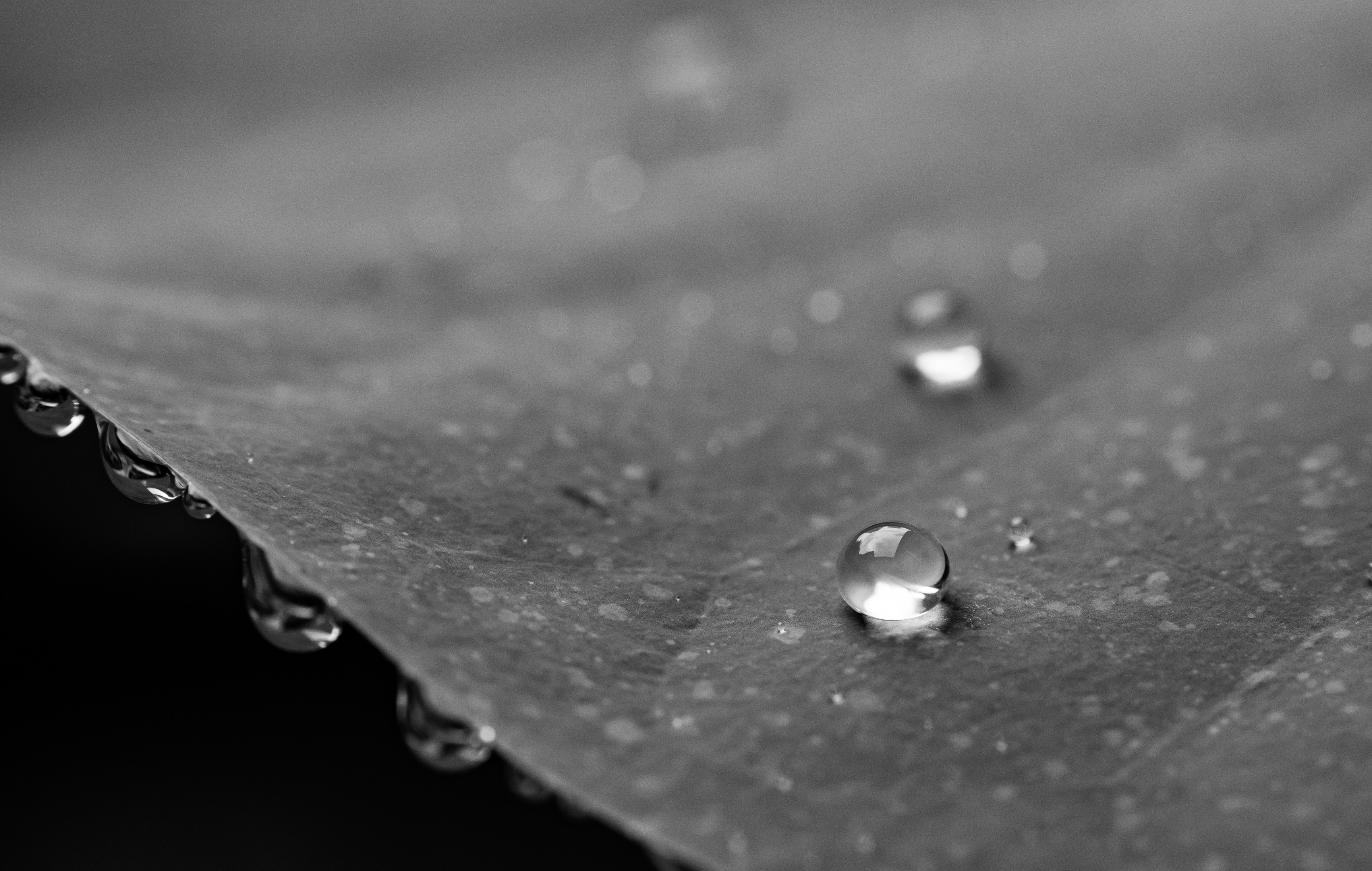 grayscale photo of water droplets
