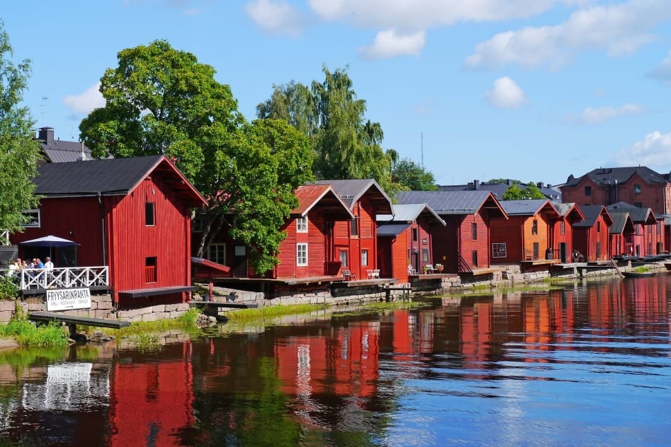 red houses near trees and river preview