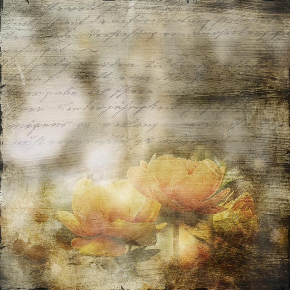 Flowers, Font, Old, Art, Letters, textured, no people preview