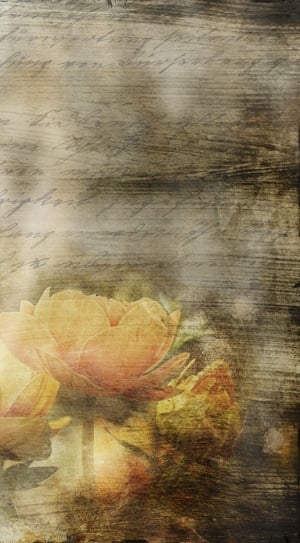 Flowers, Font, Old, Art, Letters, textured, no people thumbnail