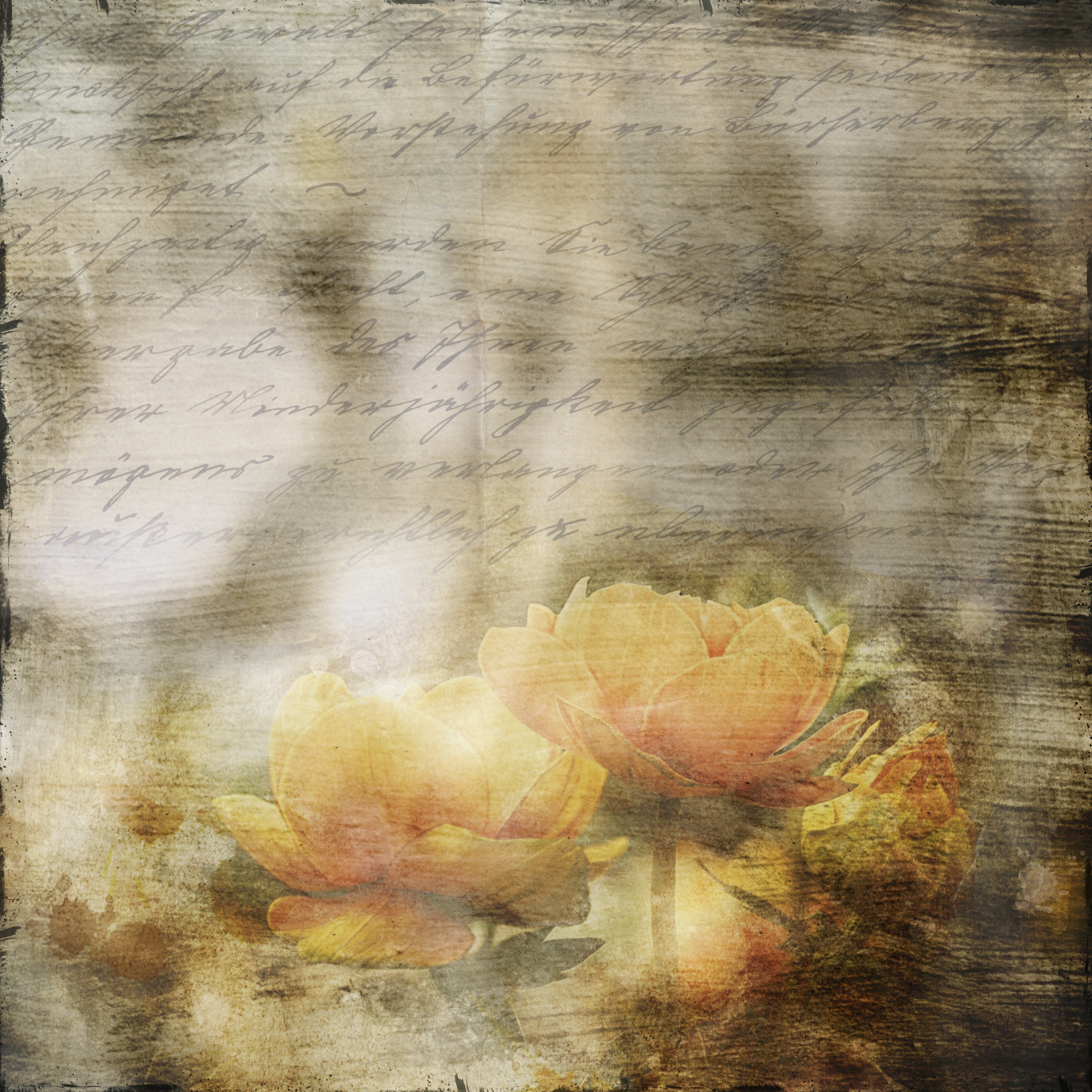 Flowers, Font, Old, Art, Letters, textured, no people