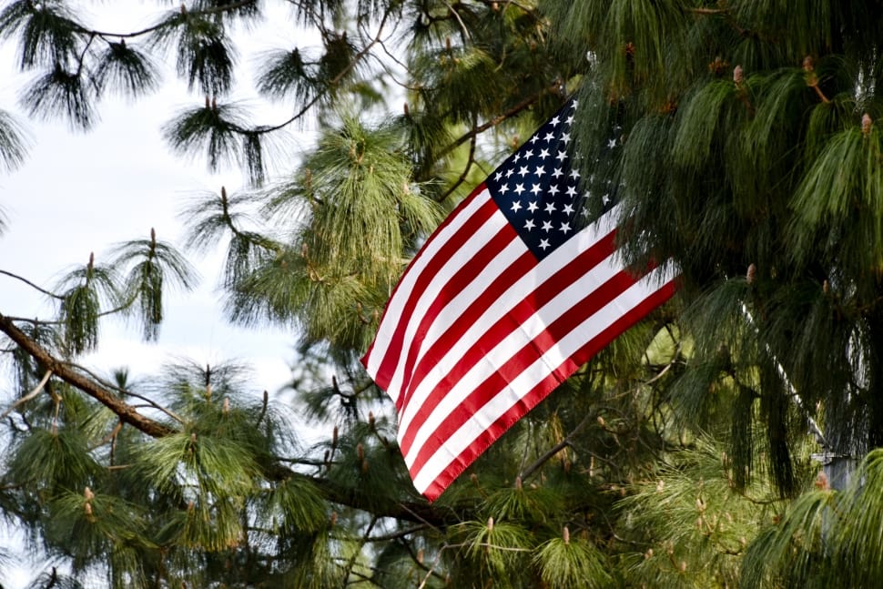 Flag, Usa, America, Usa Flag, White, flag, striped preview