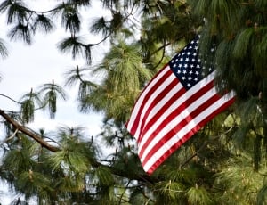 Flag, Usa, America, Usa Flag, White, flag, striped thumbnail