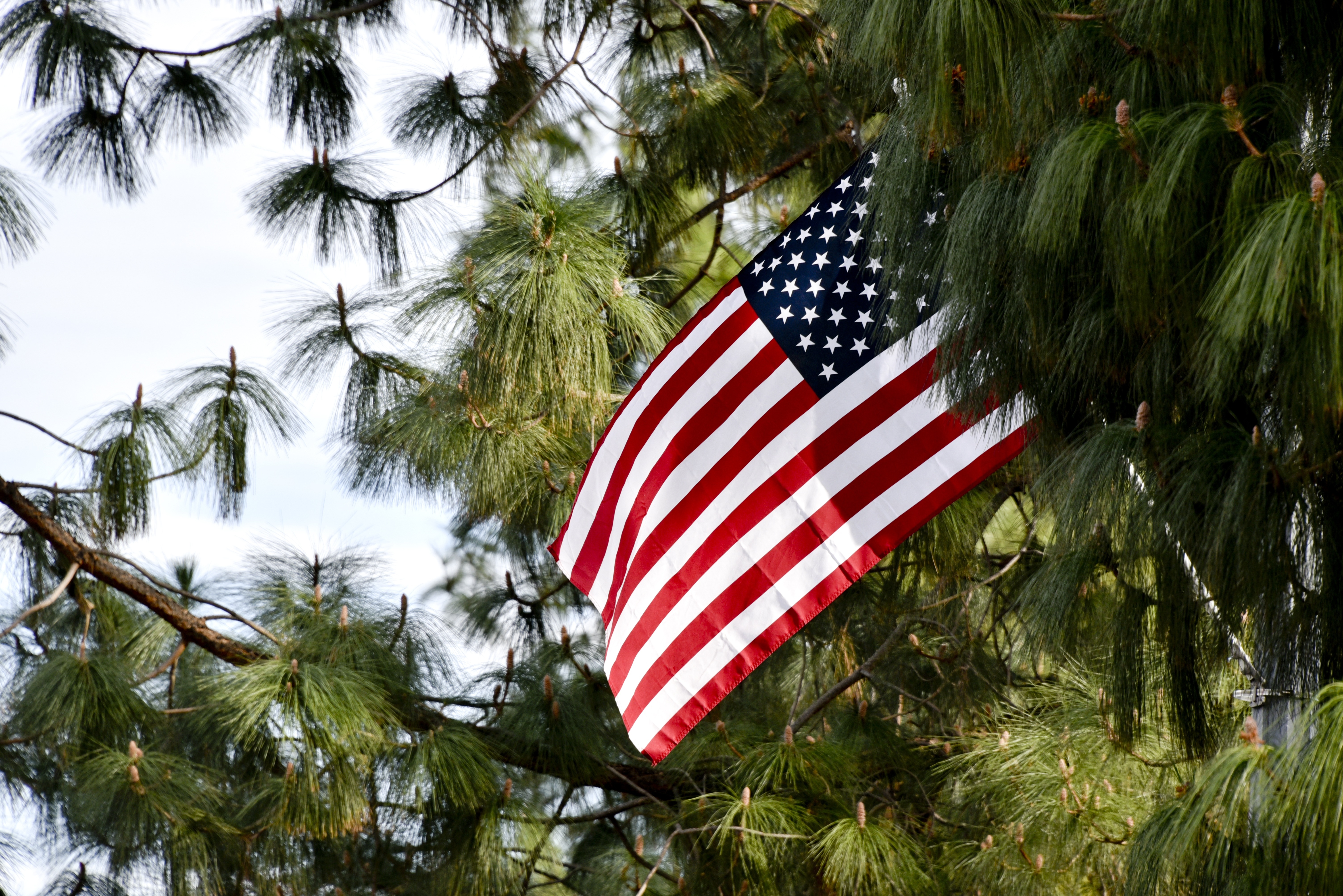 Flag, Usa, America, Usa Flag, White, flag, striped