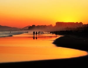 people on seashore during sunset thumbnail
