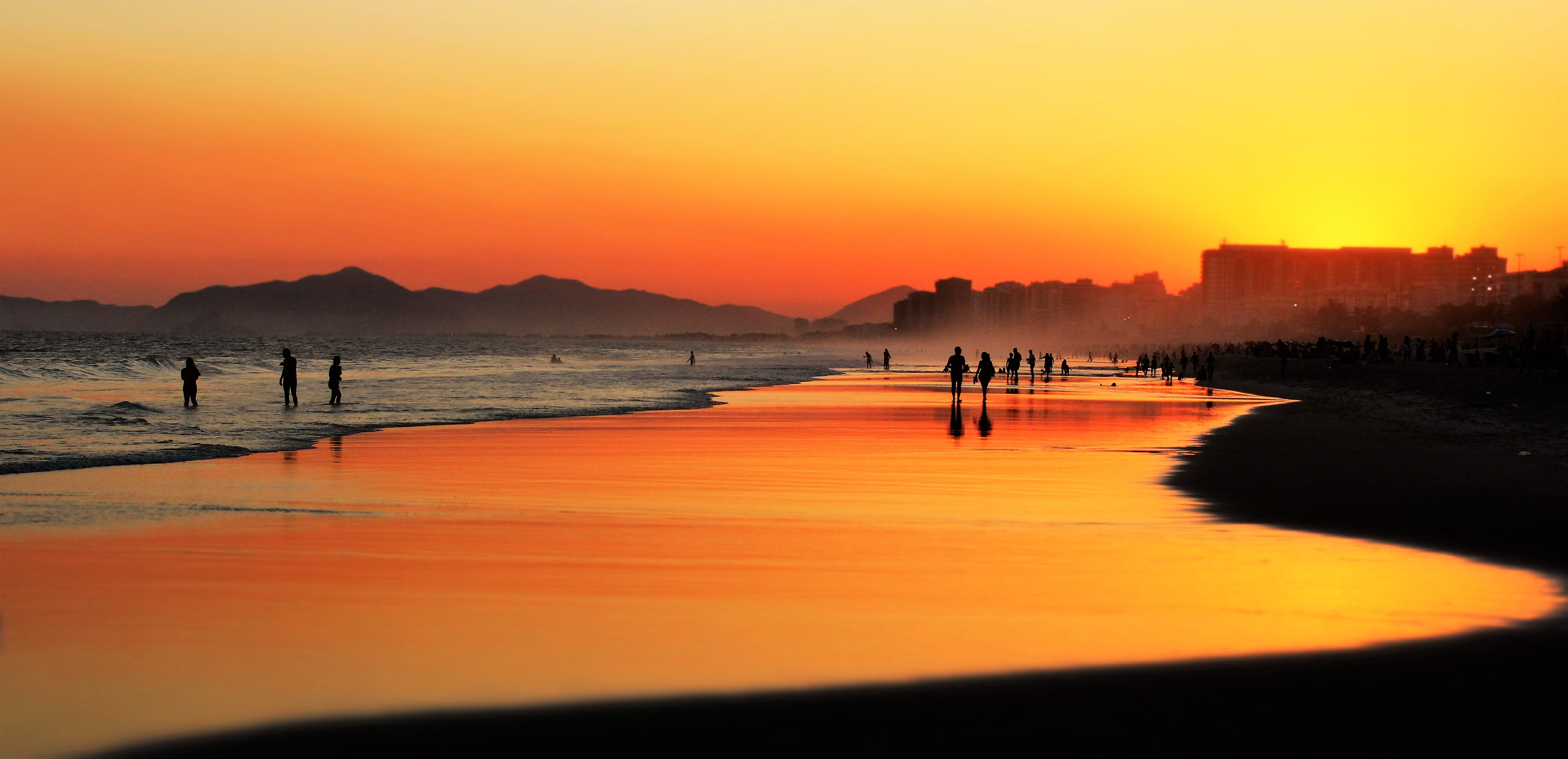 people on seashore during sunset