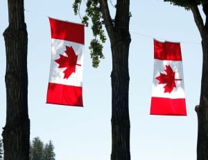 2 canadian flags thumbnail