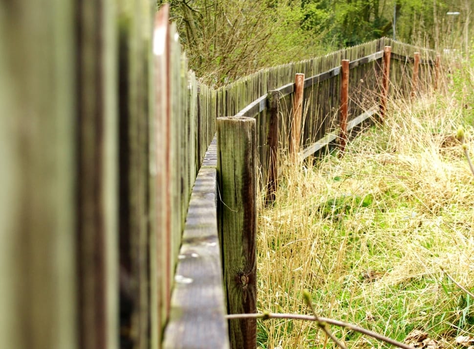 Old, Fence, Wood, Wood Fence, Moss, outdoors, nature preview
