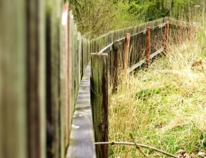 Old, Fence, Wood, Wood Fence, Moss, outdoors, nature thumbnail