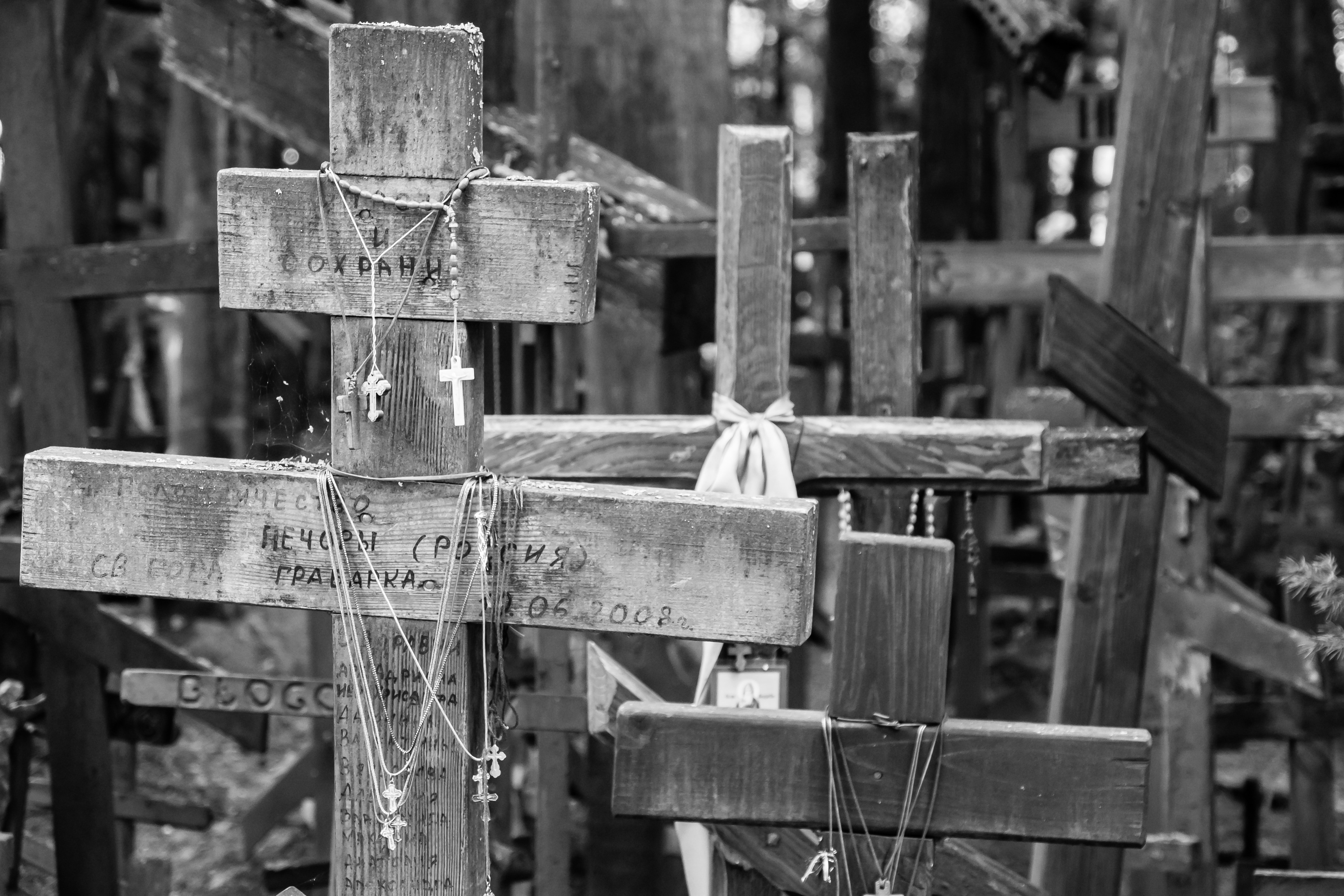 wooden crosses  lot