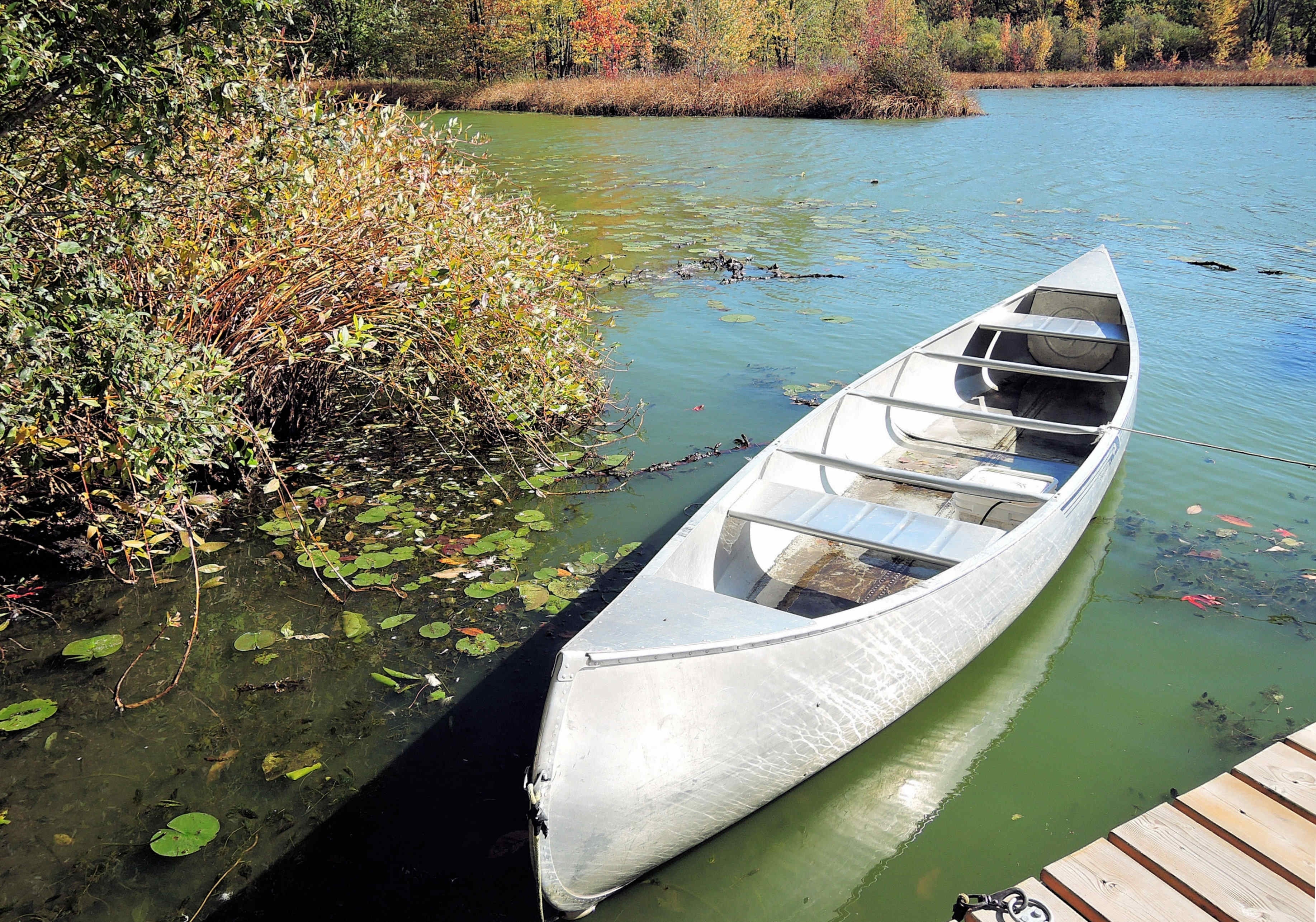 2560x1440 wallpaper | gray canoe near dock and grass | Peakpx