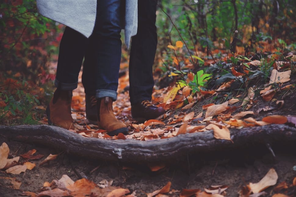 close capture of two person walking in the forest preview