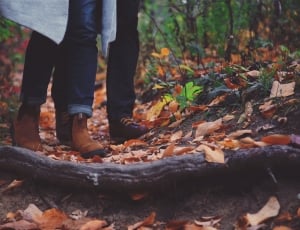 close capture of two person walking in the forest thumbnail