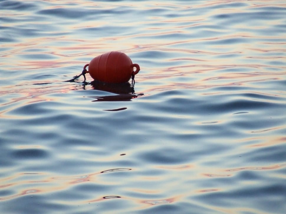 red plastic container floating on body of water preview