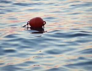 red plastic container floating on body of water thumbnail