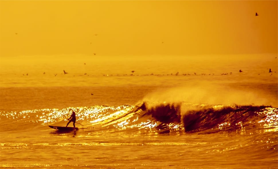man surfing sepia photography preview