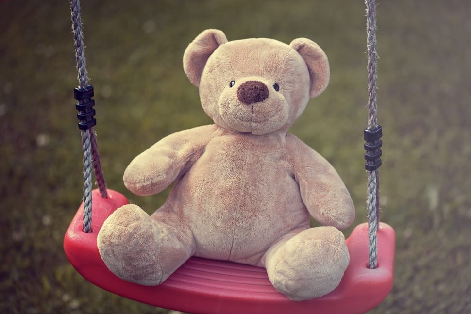 Bear, Stuffed Animal, Teddy, Teddy Bear, teddy bear, childhood preview