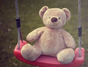 Bear, Stuffed Animal, Teddy, Teddy Bear, teddy bear, childhood thumbnail