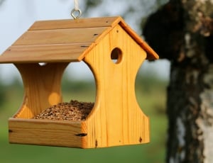 beige wooden bird house food container thumbnail