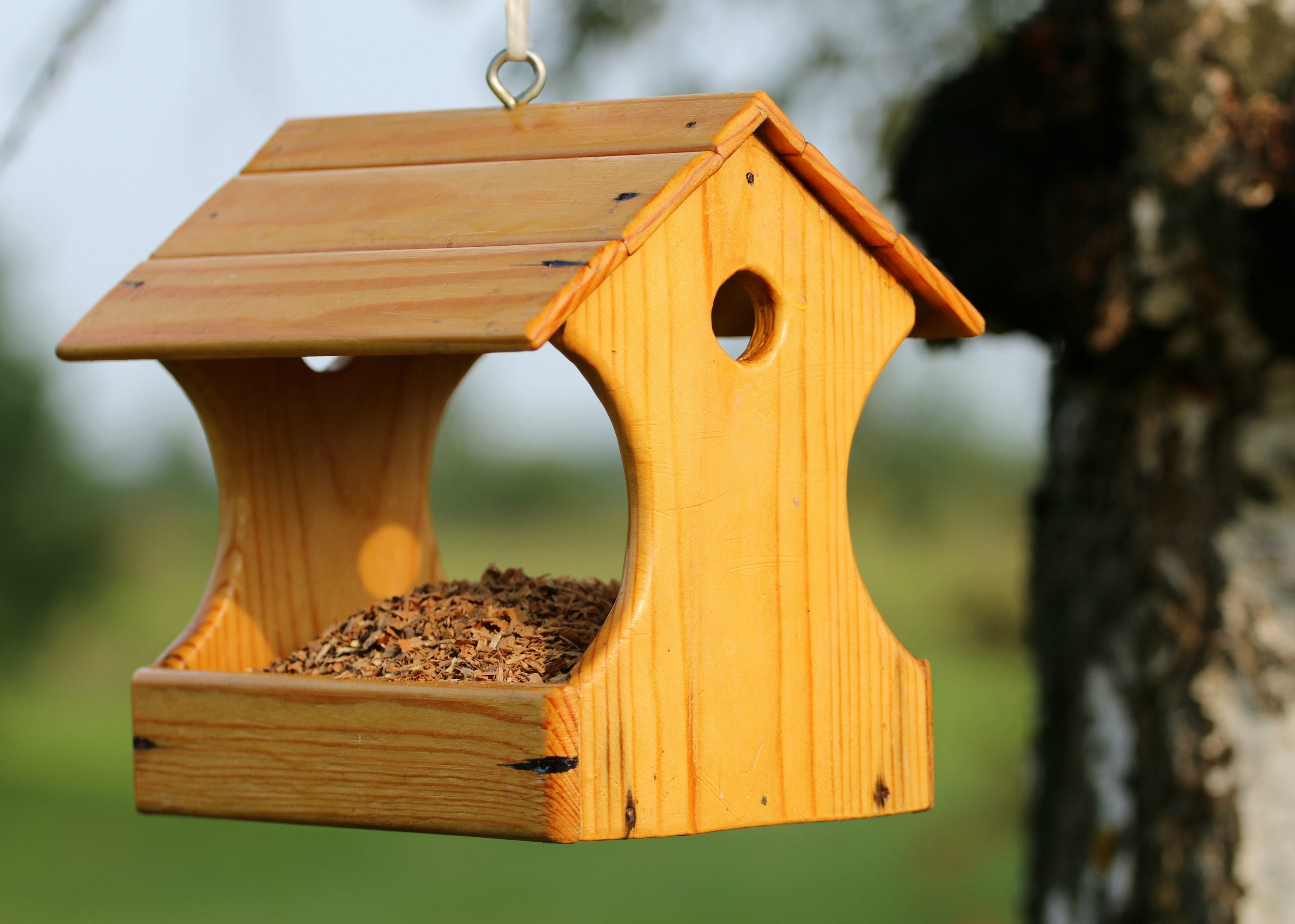 beige wooden bird house food container