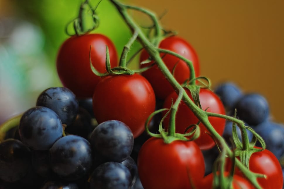 Fruit, Grapes, Tomatoes, Blueberries, food and drink, red preview