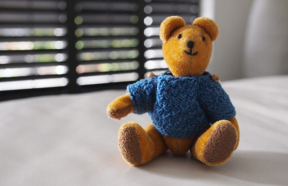 brown teddy bear with blue t shirt preview