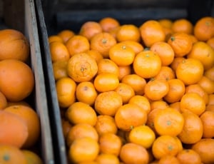 orange fruits thumbnail