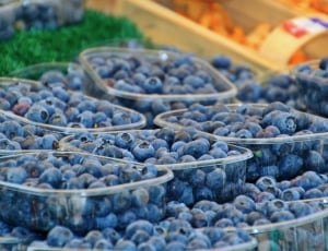 Berries, Fruits, Blueberries, Fruit, large group of objects, abundance thumbnail