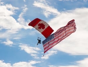 American, Airshow, Canadian, Skydiver, sky, cloud - sky thumbnail