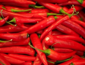 red chili pepper lot thumbnail