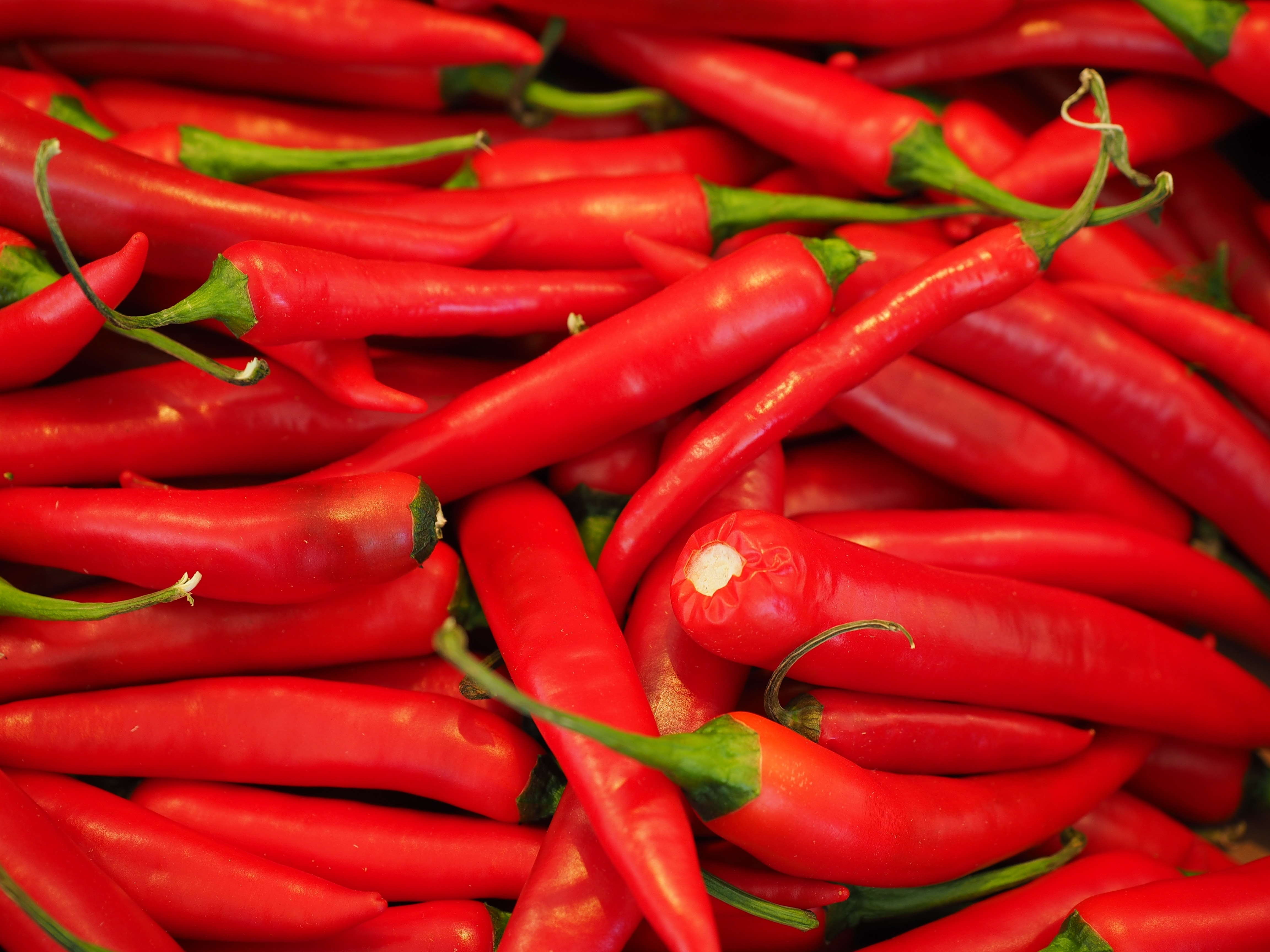 red chili pepper lot