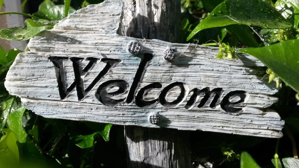 gray welcome wooden signage beside green leaves plant preview