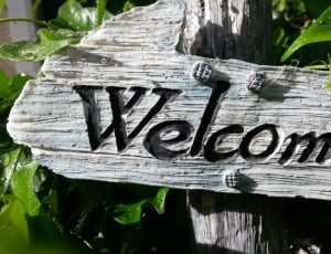 gray welcome wooden signage beside green leaves plant thumbnail