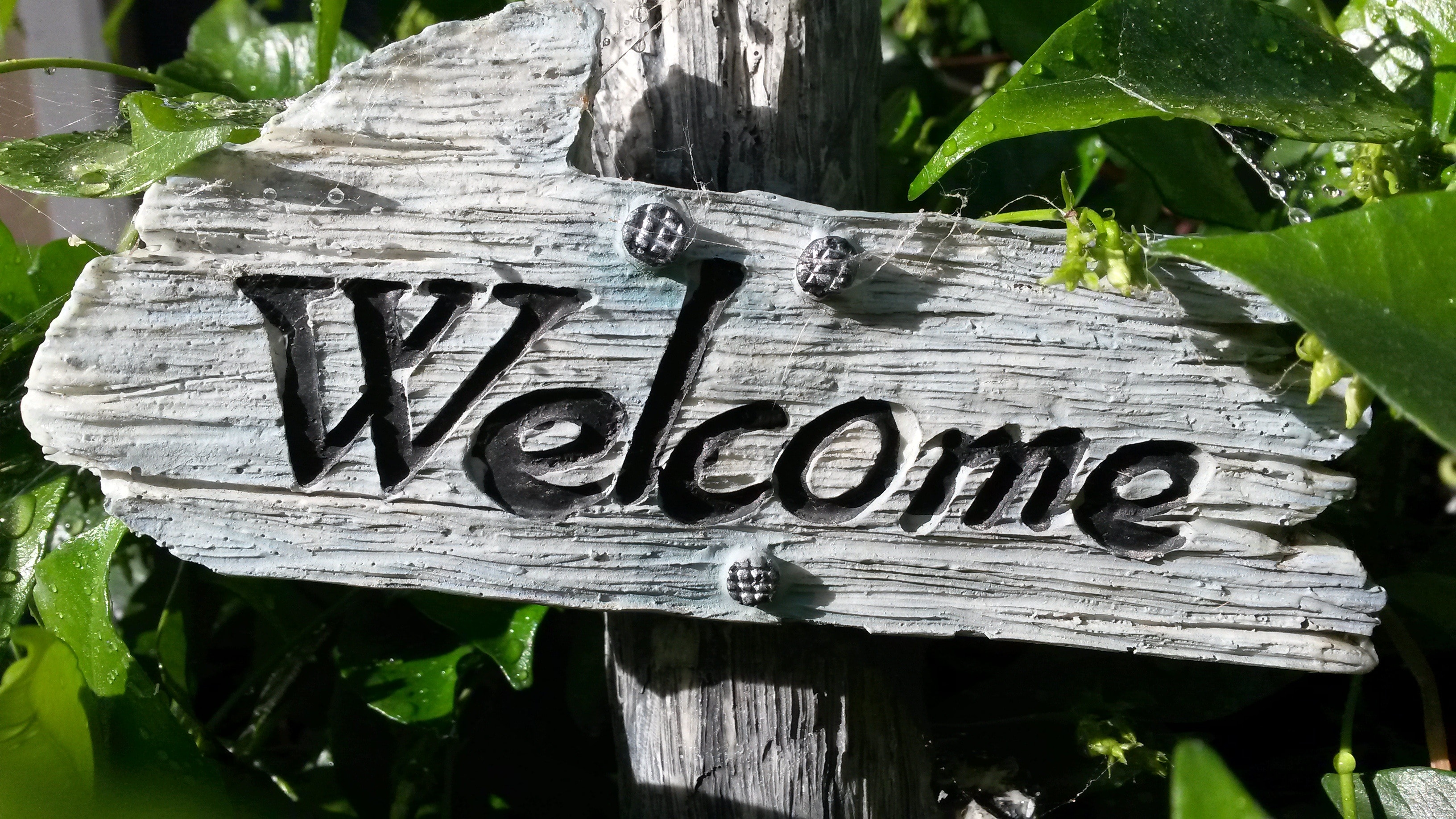 gray welcome wooden signage beside green leaves plant