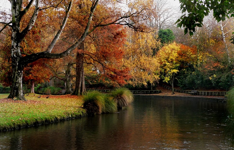 Christchurch Botanic Gardens. preview