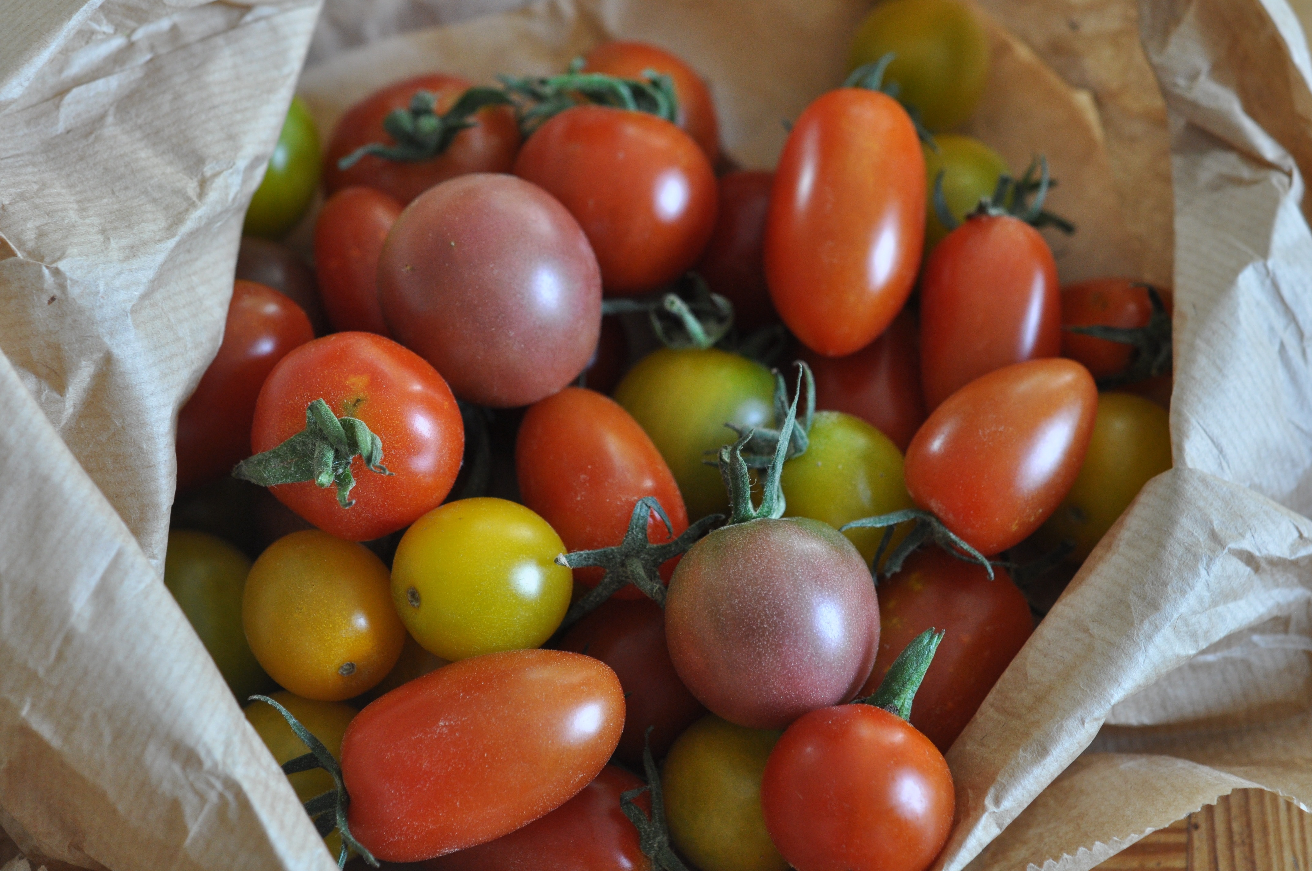 assorted tomato