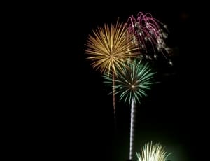 purple green and yellow fireworks thumbnail