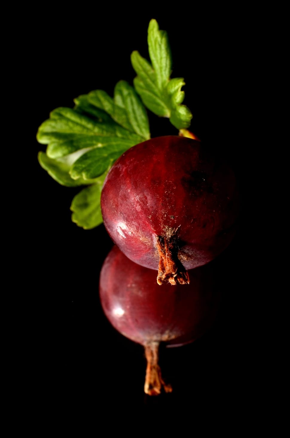 red pomegranate fruit preview