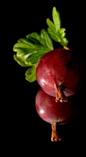 red pomegranate fruit thumbnail