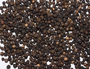 brown and beige seeds thumbnail