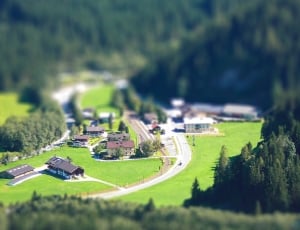 aerial photo of houses near trees thumbnail