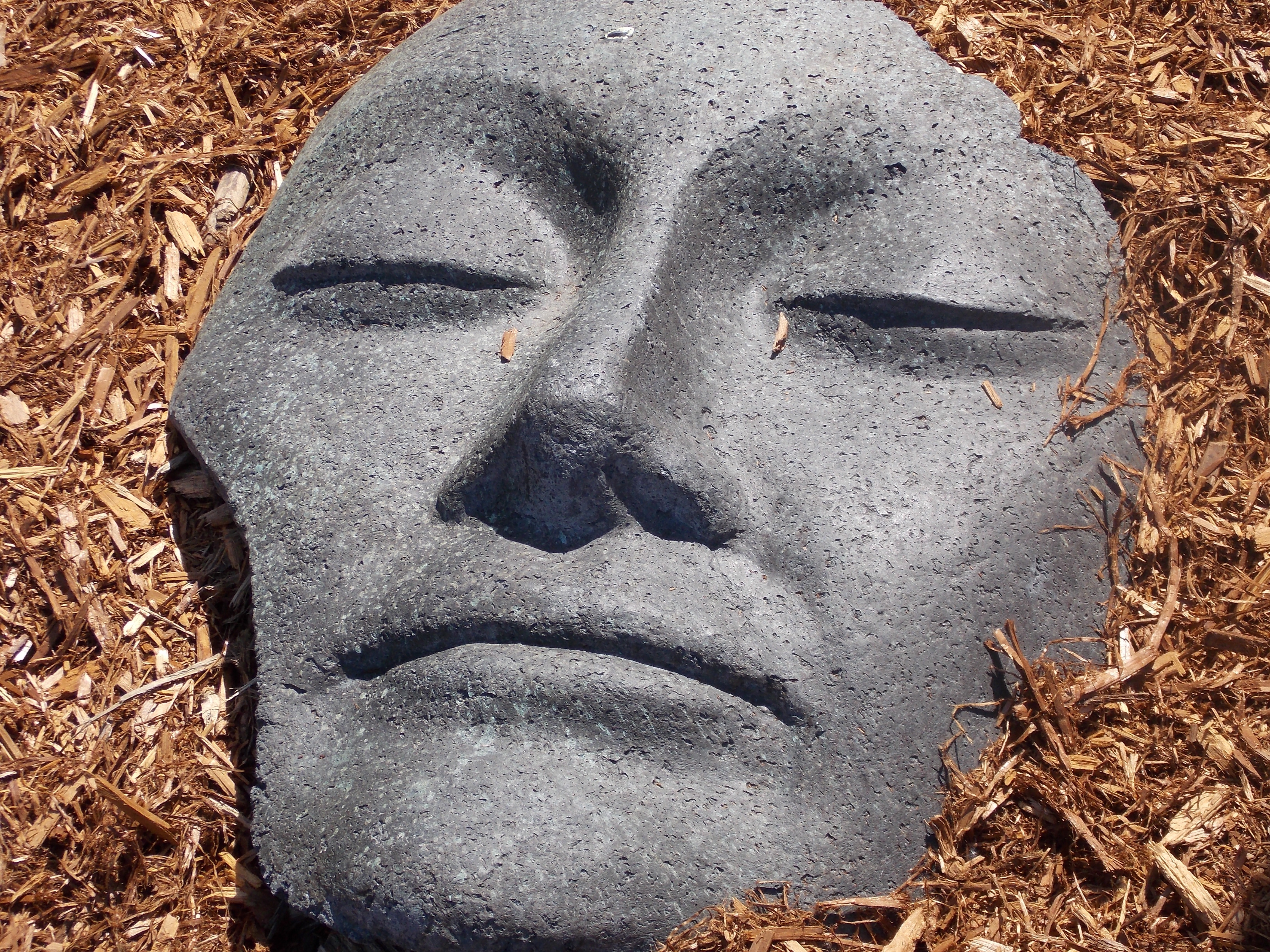 Что означает каменное лицо. Каменное лицо. Камень с лицом. Булыжник с лицом. Валун с лицом.