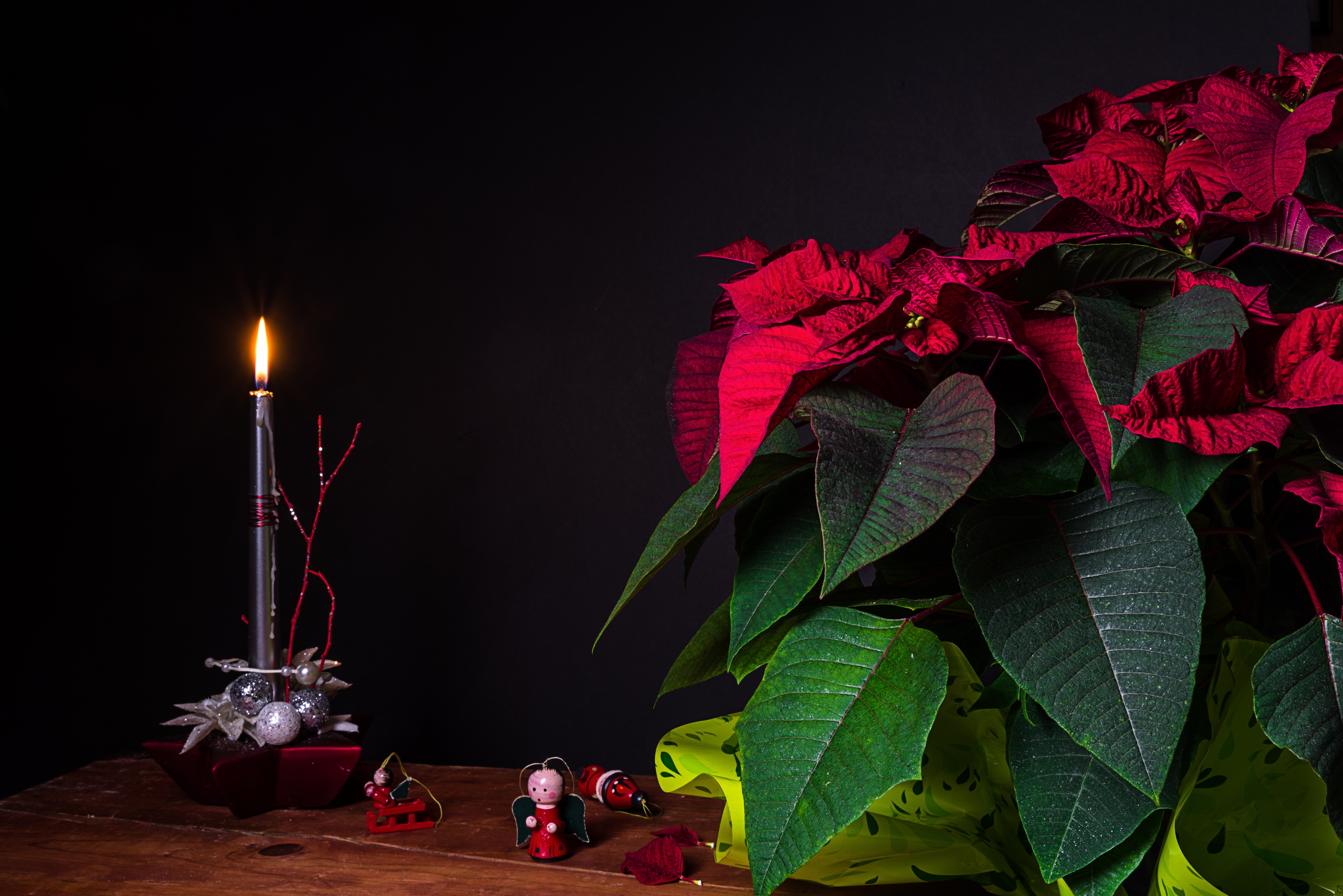 red flower on green plant boccie on brown wooden table with stainless steel framed candle stick