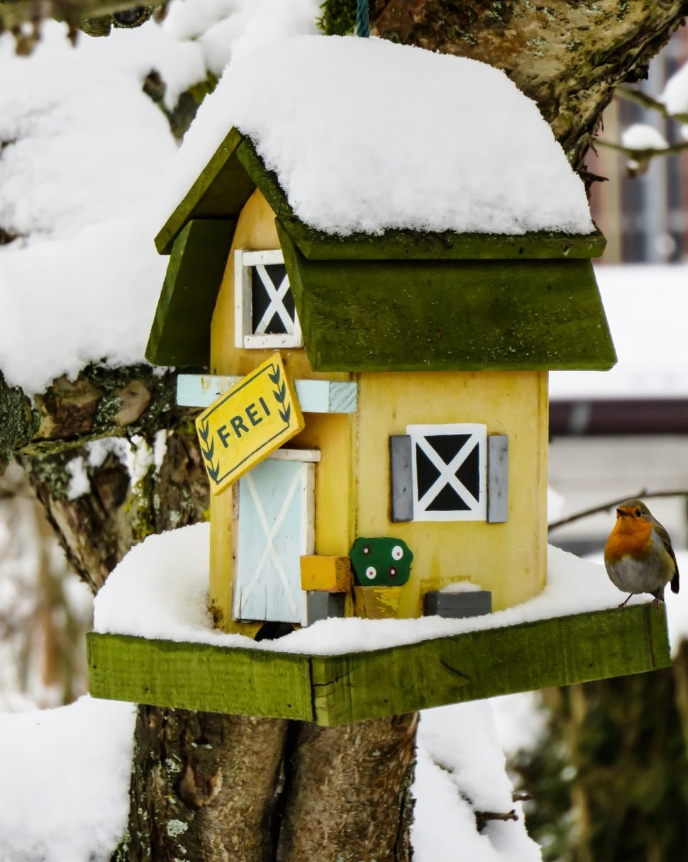 green and yellow frei birdhouse preview